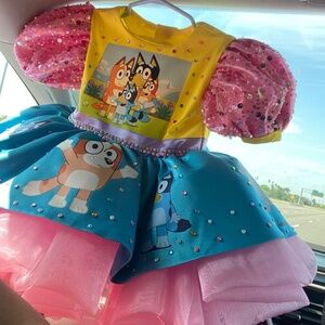 Custom  Bluey  party dress